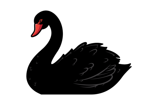 Antidote to Black Swan is thinking Antifragile